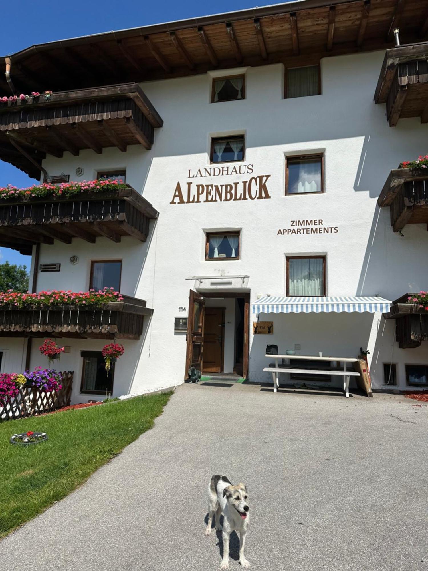 Landhaus Alpenblick Obsteig Bagian luar foto